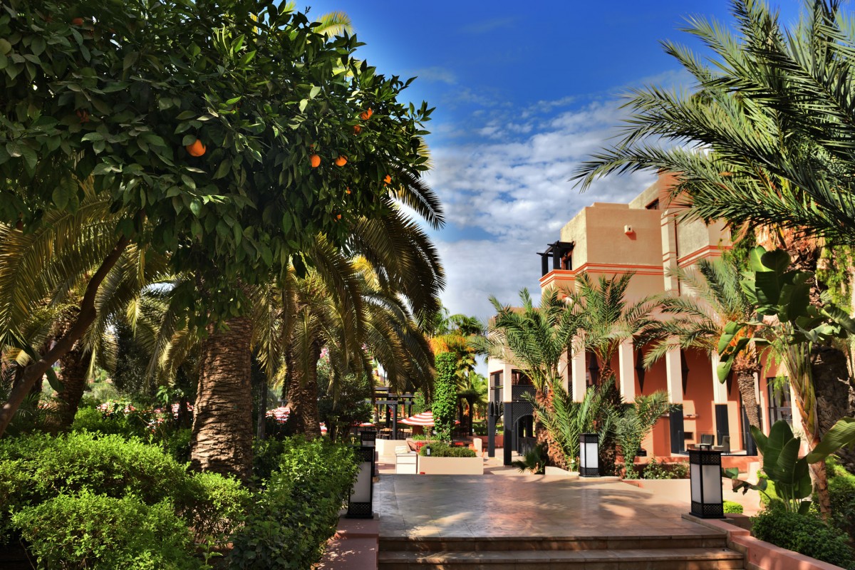 Allée de jardins en terracotta bordée d'orangers et de palmiers